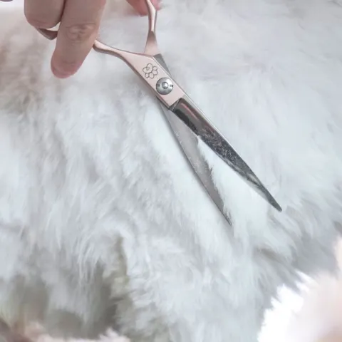 Ollipet Rosella Buet Groomingsaks efterlader et flot og præcist klippearbejde