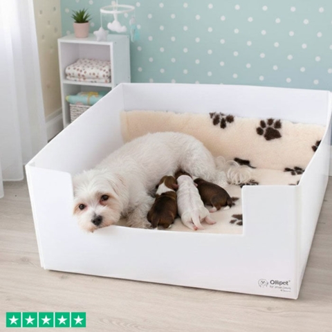 Ollipet fødekasse Recycle med nyfødte hvalpe - leveres uden vetbedtæppe