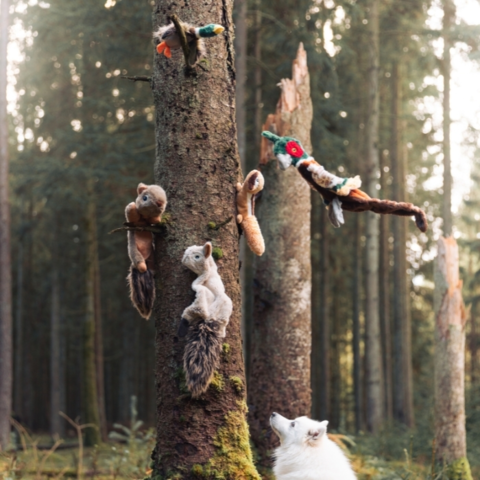 Vi har flere naturtro bamser