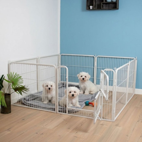 Ollipets mest solgte hvalpegård med 2 låger