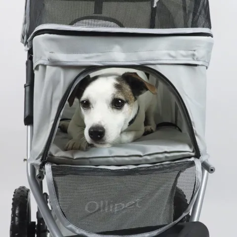 Ollipet Coziwalk I Hundeklapvogn