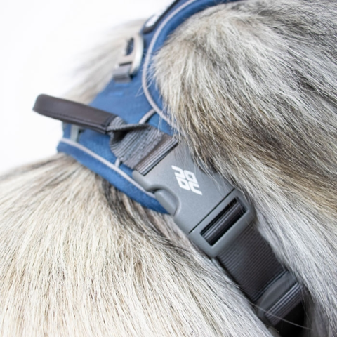 Dog Copenhagen Walk Pro hundesele