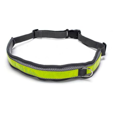 Bælte med elastisk snor I Bælte