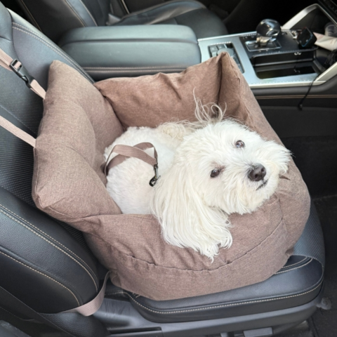Hyggelig transportløsning til din hund