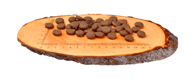 Carnilove Salmon & Turkey | Puppy Large Breed