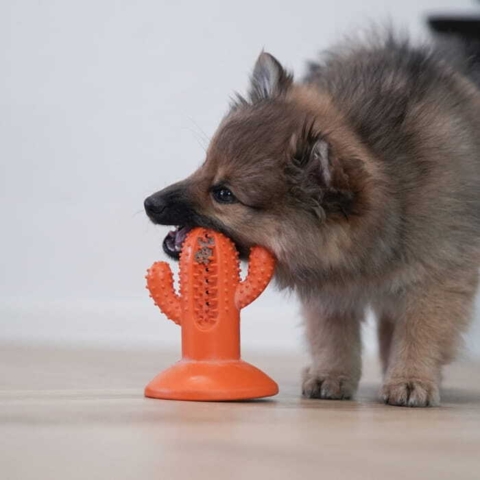 Perfekt til hvalpe aktivering