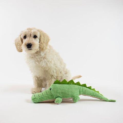 Krokodillen Zaki og hunden Futte