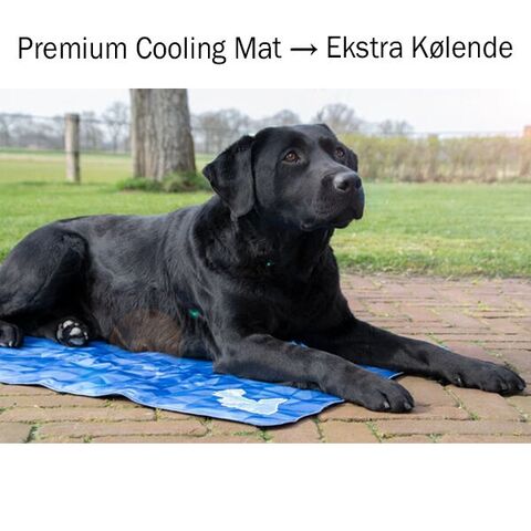 Premium Cooling Mat | Ekstra Kølende