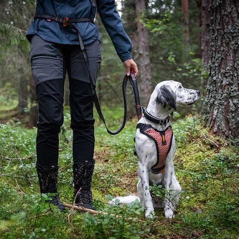 Non-stop dogwear Touring Bungee Adjustable