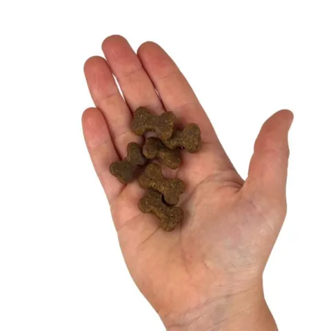 Carnilove Crunchy Snacks med struds og brombær i hånden