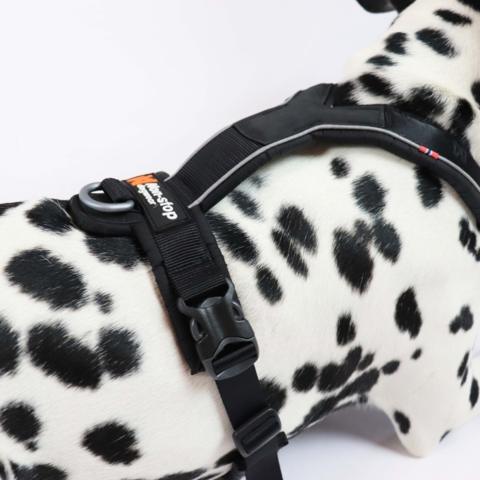 Non-Stop Dogwear Line Harness 5.0