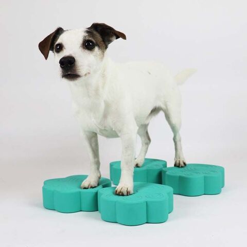 Flexiness ToyPawDisc Set of 4 I Perfekt til mindre hunde