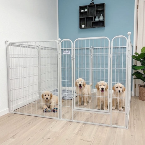 Ollipet Hvid hvalpegård med stokke til større racer - Høj