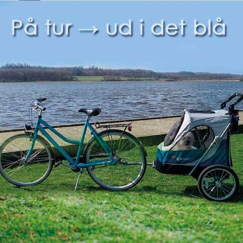 Petstro GREY Aventura Medium hundeudstillingsvogn I ses her i blå sat på en cykel