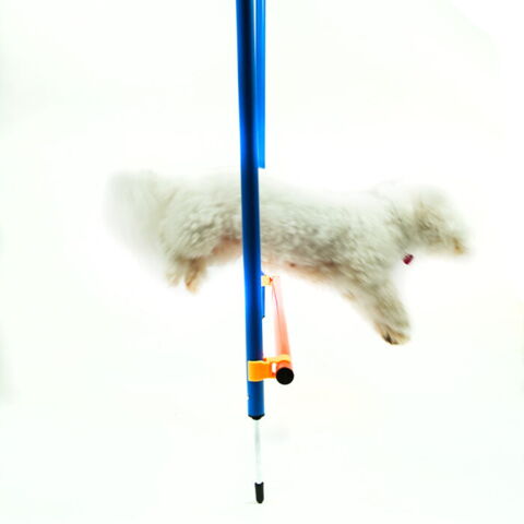 Ollipet DogFit Agility Serie Hurdle Jump