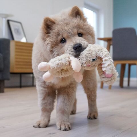 Happy Farm Buddy & Carla