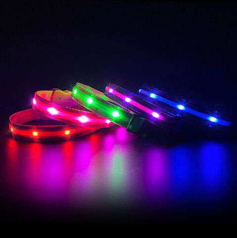 LED-halsbånd til hunde i flere farver og størrelser