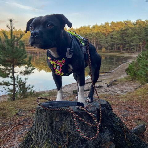 Hurtta Justerbar Reb Line