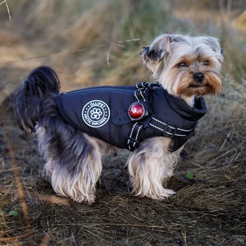 Ollipet Arctic Explorer i farven sort