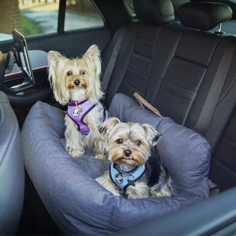 Ollipet XL Comfort Autosæde | Til 2 små hunde - Her Yorkshier Terrier