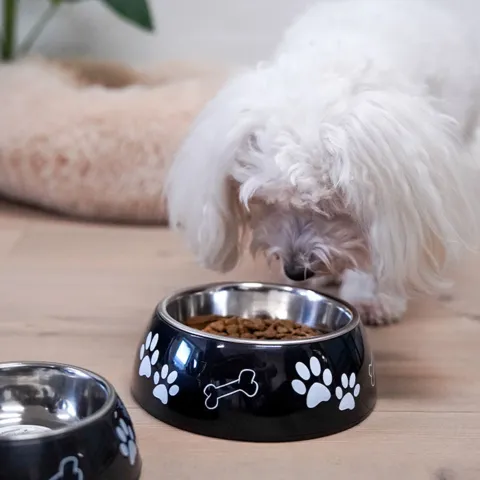 DIVAR Paw Madskål | Sally spiser af en 470 ml