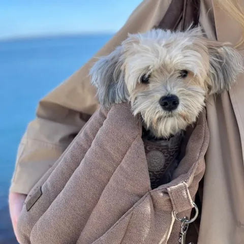 Kan tages over skulderen og bæres