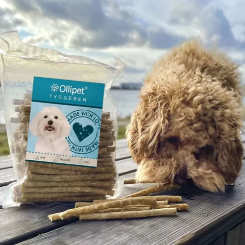 Ollipet Munchy Sticks & Kenzo