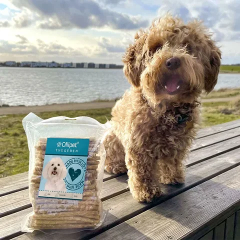 Ollipet Munchy Sticks & Kenzo