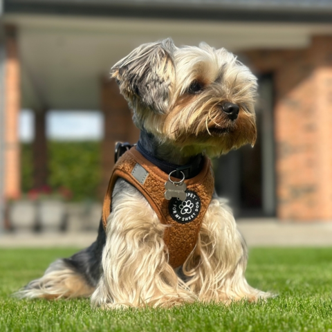 Ollipet Teddy Step-in hundesele | Brun og flot design