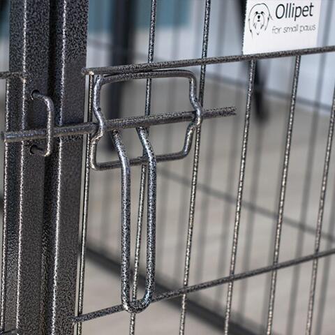 Ollipet hvalpegård i kraftig hammerlak