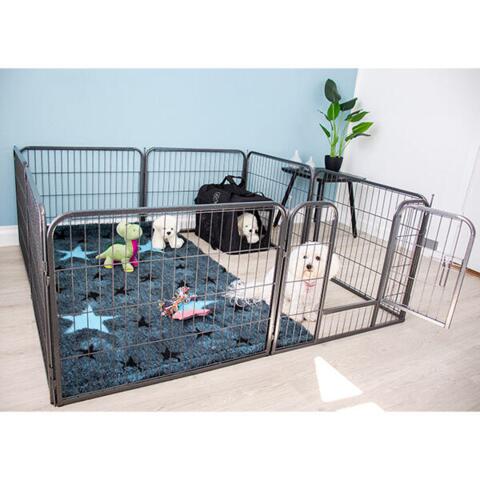 Ollipet hvalpegård i kraftig hammerlak