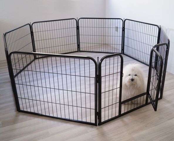 Ollipet hvalpegård i kraftig hammerlak | 8 kantet