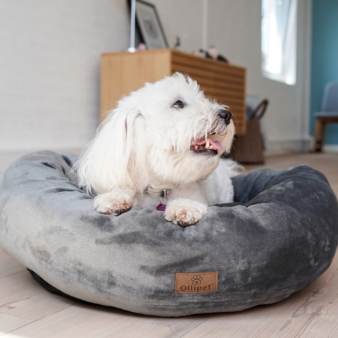 Wellness hundeseng i blødt plysstof i farven grå