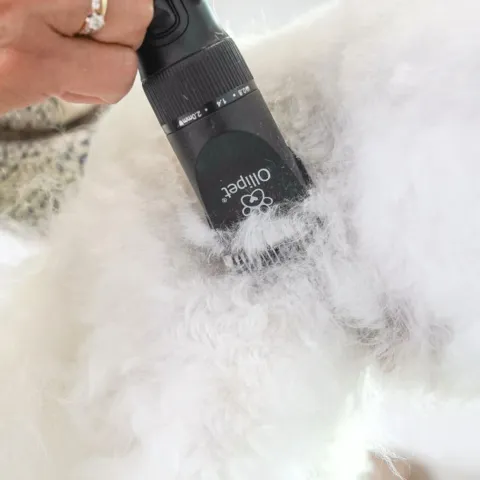 Støjsvag og letvægts klippemaskine