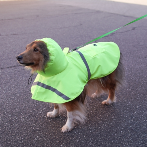 Ollipet Outdoor Rain Shield med hætte