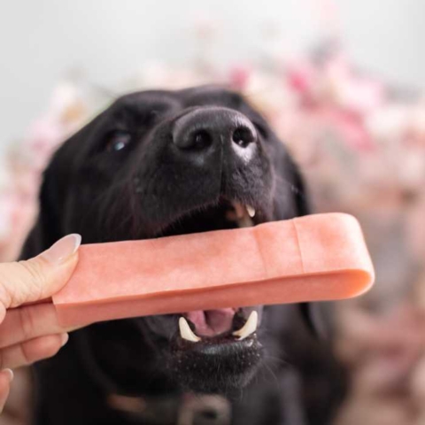 Hjælp til god mundhygiejne