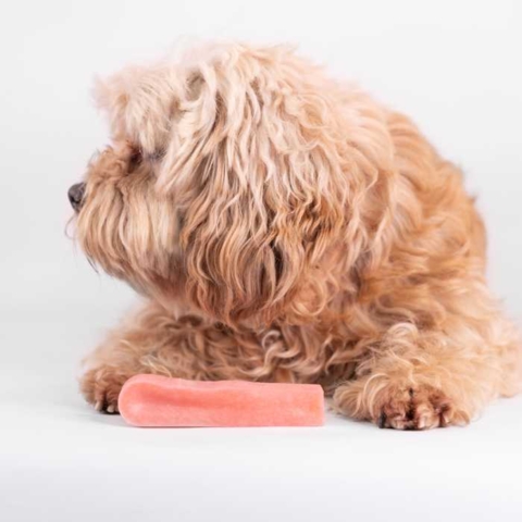 Yaki tyggeben | Forskellige størrelser