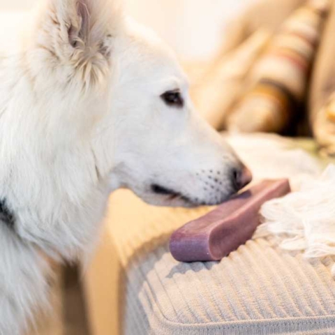 Yaki Tyggeben med blåbær