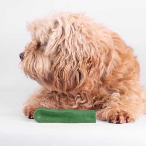 Yaki tyggeben med frisk mintsmag