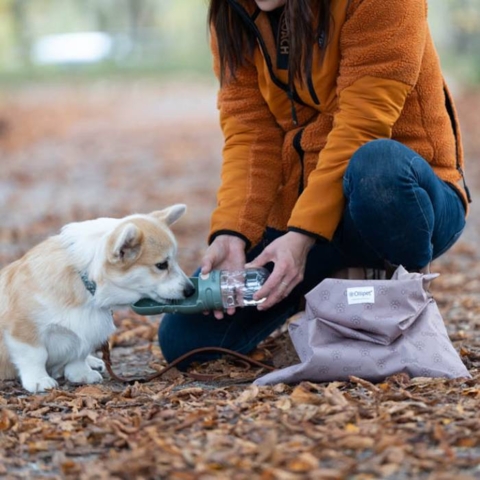 Ollipet Rejse Drikkeflaske er den perfekte drikkedunk til din hund når i går i naturen