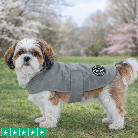 Populær hundejakke der kan bruges året rundt