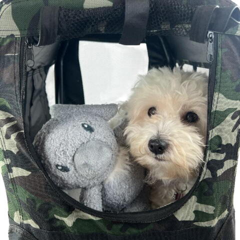 Ollipet Soft Transporttaske | Camouflage har masser af plads til hunden og legetøjet