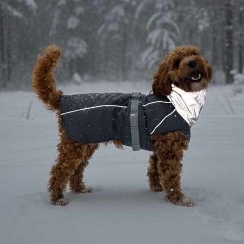 Doglemi Vinterjakke | Fuld refleks krave. Her størrelse Large