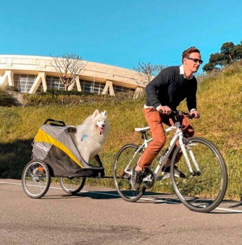 Her er cykeltilkobling vist med en Innopet Hercules 2.0 hundeklapvogn