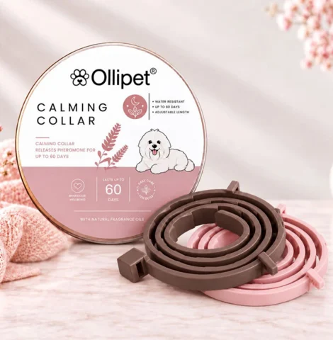 Ollipet Calming Collar