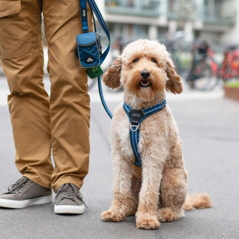 DOG Copenhagen Pouch Organizer™ Leash Bag  skaber en mere overskuelig gåtur