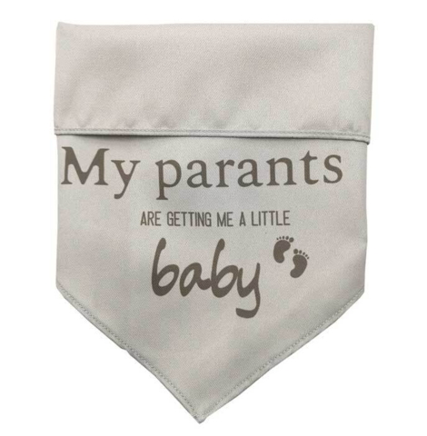 Ollipet "My parents are getting me a little baby" bandana