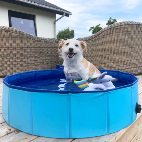 God hundepool til de varme dage