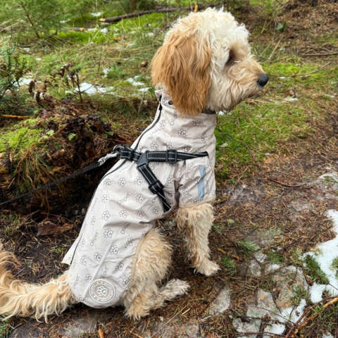 Teddy i en str. XXL i farven sand