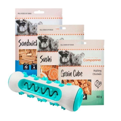 Ollipet toothbrush activity stick med godbidder z1